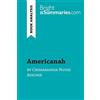 BrightSummaries.com Americanah by Chimamanda Ngozi Adichie (Book Analysis): Detailed Summary, Analysis and Reading Guide