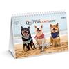 Quattrozampe Cani felici. Calendario da tavolo 2026. 14 mesi di cani felici