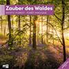 Ackermann Kunstverlag Zauber des Waldes Broschürenkalender 2026 - 30x30 - Art12 | Stilsicherer Wald-Kalender im schlanken Hochformat (aufgeklappt 30x60 cm) | zum Eintragen