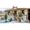 Coppenrath Wand-Adventskalender - Weihnacht bei den Tieren im Stall