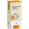 GHEOS SRL GANODERMA GHEOS 90 CAPSULE DA 540 MG