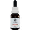 GREEN REMEDIES SpA Australian Bush Flower Calophyllum Gocce, 15 ml