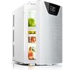 YADLCR Mini Frigorifero 20 Litri - Frigo da Camera AC/12 V (220 V) DC Portatile Termoelettrico per Camera da Letto, Cosmetici, Latte materno, Ufficio e Viaggio (Color : Silver)