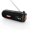 LEICKE Tubo radio DAB+, altoparlante Bluetooth portatile con DAB+/FM, batteria da 4500 mAh, luci LED RGB, suono stereo da 10 W, equalizzatore, ricarica USB-C, porta Micro SD/AUX, alimentazione a rete