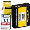 PATONA Batteria per Sony NP-BG1 NPBG1 960mAh 3.5Wh 3.6V | Batteria per CyberShot DSC H3 H7 H9 H10 H20 H50 H55 H70 H90 N1 N2 T20 T25 T100 W30 W35 W50 W55 W70 W80 W85 HX5 HX30V WX1