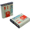 Dot.Foto 2 x Dot.Foto NP-BG1, NP-FG1 Premium 3.7v / 960mAh Batteria Ricaricabile per Sony DSC-H90 DSC-HX30V DSC-HX5V DSC-HX7V DSC-HX9V DSC-W150 DSC-W290 DSC-W230 DSC-W220 DSC-W200 DSC-W300 DSC-W50 DSC-W90