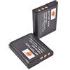 DSTE 2pcs NP-BG1 NP-FG1 Batteria Compatibili con Sony DSC-H90 DSC-T20 DSC-T100