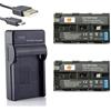 DSTE 2-Pack Backup Energy USB Travel Compatibile per Sony NP-F570 NP-F550 NP-F530 NP-F330