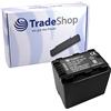 Trade-Shop Batteria agli ioni di litio ad alte prestazioni 3,6 V3,7 V con Infochip per Panasonic HDC SD40 SD60 SD66 SD80 SD90 SD99 SDX1 SDX1 HS60 HS80 HS60 HS80 TM40 TM55 TM60 TM80 TM90 TM90 TM90