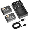 DSTE NP-85 Batteria (2 pezzi) e Caricatore Compatibili con Fujifilm FinePix SL240 SL260 SL280 SL300 SL1000