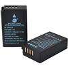 DSTE EN-EL20 Batteria di ricambio (2 pacchetti) compatibile per Nikon 1 J1, 1 J2, 1 J3, 1 S1, 1 V3, 1 AW1