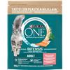 PURINA ONE Adult - Salmone & Cereali Integrali - Bifensis