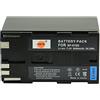 DSTE Ricambio Batteria Compatibile per Canon BP-970G XLH1 XHG1 XHA1 XL2 XM2 XH G1S XH A1S XL H1S XL H1A XF305 XF300 XF105 XF100