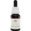 Australian Bush Flower Essences Silver Princess 15ml