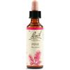 SCHWABE PHARMA ITALIA Schwabe Pharma Pine Fiori Di Bach Original Rimedio Fitoterapico 20ml