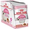 Royal Canin Kitten Jelly 85 gr In Gelatina Cibo Per Gattini