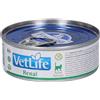 Farmina Vet Life Renal 85 gr Scatoletta Umido Gatti