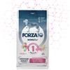 Forza 10 Medium Adult Diet Hypoallergenic Al Maiale 12 kg Per Can