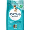 Forza 10 Adult Medium Maintenance Fish 12 kg Pesce Per Cani