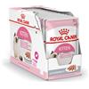 Royal Canin Kitten Loaf 85 gr Mousse Pate Per Gatti