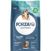 Forza 10 Adult All Breeds Maintenance Pesce e Riso 12 kg Per Cani