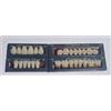 VALSAX Denti Finti In Resina Optima Denti Finti Professionali Bocca Completa Colorazione Vita Denti Finti Da Applicare Forma Media Colore A3/A2 4 Pz
