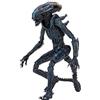 Rubie's NECA Reel Toys Aliens Arachnoid Alien 22,9 cm Figura 2021