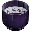Brainstorm TOYS Zoetrope - Giocattolo Classico di Animazione,