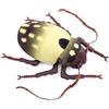 lilizzhoumax Peluche Longicorno 9.4pollice insetto Carino giocattolo morbido Bambole Animali Bambini e Amici Regalo per la festa di compleanno coccoloso collezionare decorazione domestica - marrone