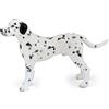 Papo - Statuina Dalmata Realistica - 3 Anni + - Collezione Cani e Gatti - Gioco Educativo Animali Domestici - Idea Regalo Giocattolo Bambina Bambino