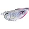 EUGY 124 Arowana Argento Eco-Friendly 3D Paper Puzzle per ragazzi e ragazze. Età 6+