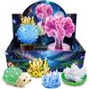 UNGLINGA Kit per la coltivazione di cristalli per bambini, coltivazione di 6 cristalli