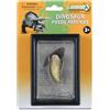 Collecta Dente Tyrannosaurus Rex Cofanetto