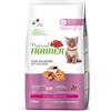 Natural trainer Kitten con salmone 1,5 kg