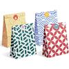 Parmedu Sacchetti regalo di carta di colori assortiti: 48 sacchetti regalo medi, 24 x 17 x 8 cm, con 48 adesivi, sacchetti da asporto per uso alimentare per Natale, festival, compleanni, feste,