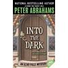 Peter Abrahams Into the Dark (Tascabile) Echo Falls Mystery