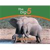 Megan Emmett Elephant (Tascabile) Big 5 and Other Wild Animals