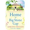 Adriana Trigiani Home to Big Stone Gap (Tascabile)