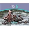 Megan Emmett Hippo (Tascabile) Big 5 and Other Wild Animals