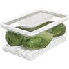 InterDesign iDesign ID Fresh, Contenitore ermetico da frigo con Coperchio, Grande Contenitore Alimenti per Frutta e Verdura con Regolazione dell'Aria, Portavivande in plastica, Trasparente/Bianco/Verde