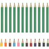 PATIKIL Matite Colorate, Colore Verde Frutta Matite Da Disegno Carine Con Mine A Base Di Olio Materiali Per Album Di Arte Per Adulti Libri Da Colorare Artisti Schizzi Disegno, 12 Pezzi