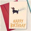 Generic Biglietto di compleanno con bassotto da 18 x 11,9 cm con coda di coriandoli, biglietto piegato di alta qualità da 300 g/m² e busta, simpatico biglietto di auguri per auguri di compleanno (testo di