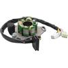 WOOSTAR 6 Bobina 10 Fili Magneto Statore Sostituzione per Suzuki 1998-2000 RM125 OEM 32101-36E10 32101-36E20 32101-36E30