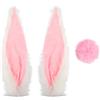 GALPADA Orecchie di coniglio in peluche per casco da moto, divertenti decorazioni per casco da scooter, casco da sci, bicicletta, set di accessori unisex, rosa, 2 pezzi