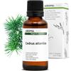 Aroma Labs Cedro dell'Atlante BIO (Cedrus atlantica) - 30 mL - Olio Essenziale Chemiotipizzato e Certificato AB/Cosmos - Aroma Labs - Made in France