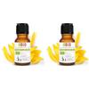 Laborbio Ylang Bio Olio essenziale 100% Puro 5 ml - Uso interno Terapeutico Alimentare Diffusori Aromaterapia Cosmetica Cucina - Laborbio (Confezione da 2)