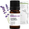Aroma Labs Lavanda Fine BIO (Lavandula angustifolia) - 5 mL - Olio Essenziale Chemiotipizzato e Certificato AB - Aroma Labs - Made in France
