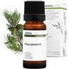 Aroma Labs Pino Silvestre BIO (Pinus sylvestris) - 10 mL - Olio Essenziale Chemiotipizzato e Certificato AB - Aroma Labs - Made in France