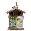 Accentra - Set doccia da donna, set regalo Olive in una bella scatola di legno, set per la cura di 2 pezzi con gel doccia e lozione per il corpo, set regalo benessere per compleanno, San Valentino e