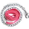 Pferdelinis Catena di guida per cavalli | guida sicura con catena di ferro e manico in nylon | Guinzaglio adatto per stalloni cani pony asini | Lunghezza 2,10 m (rosa)